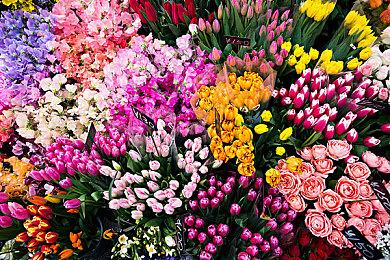 TGA2021收视创新高 直播观看人数超8500万